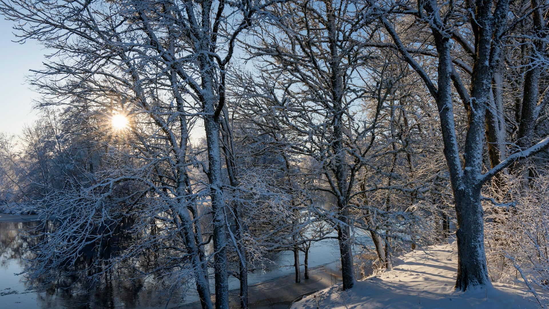 a snowy sunrise