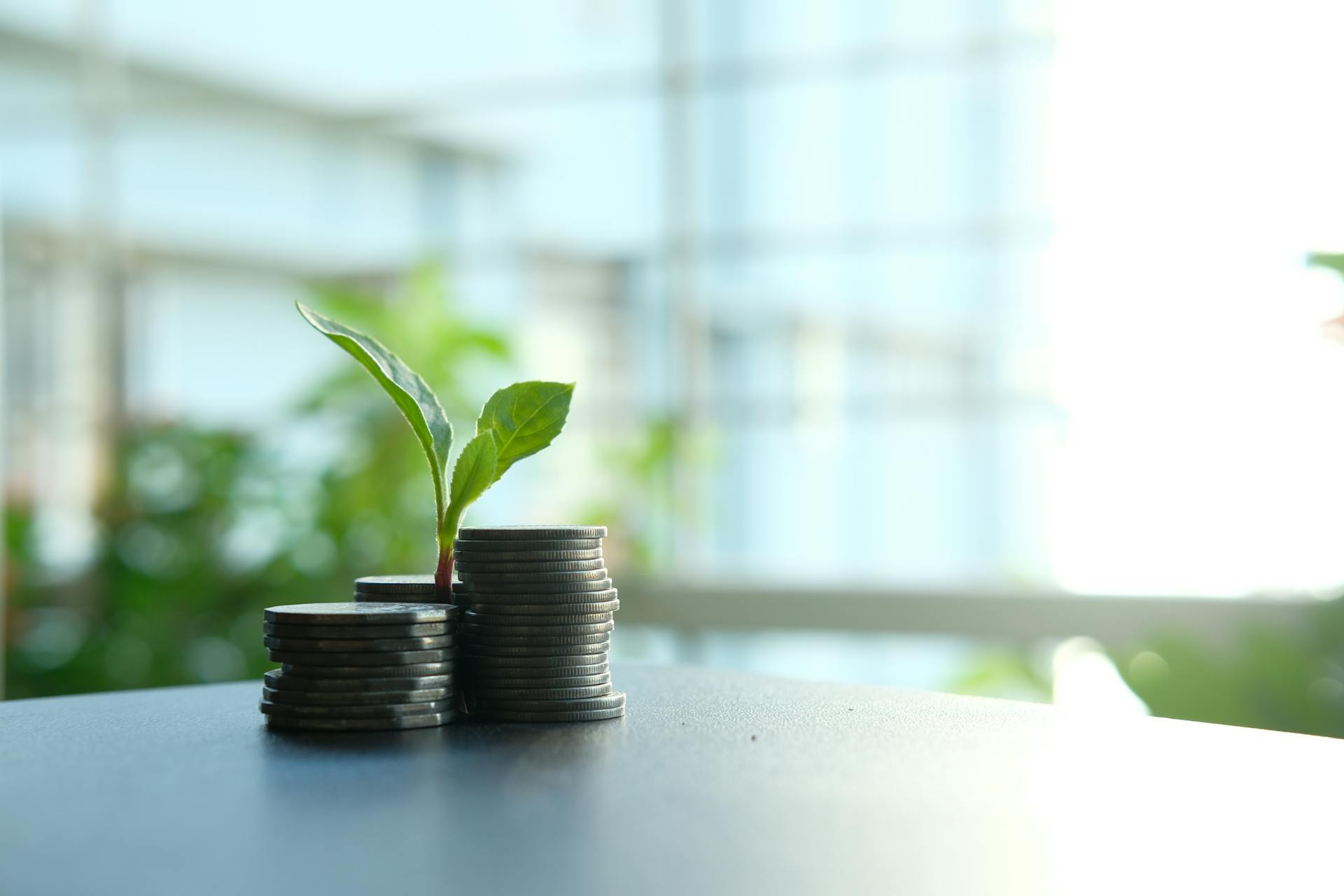 coins with a plant growing out of it